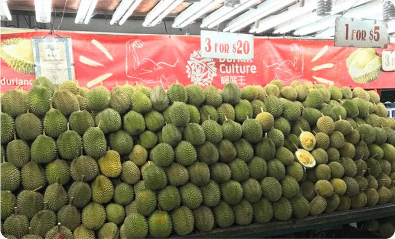 About Us Durian Culture